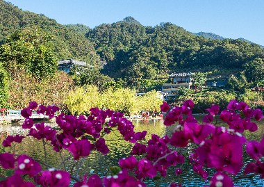 春风拂面桃花开 | 春天在北溪文苑相遇！